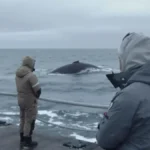 Featured image placeholder 16:9